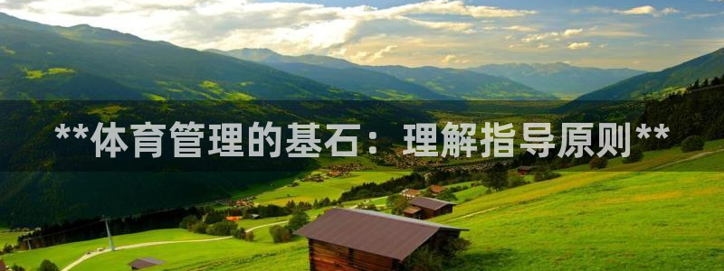 必一体育合法吗：**