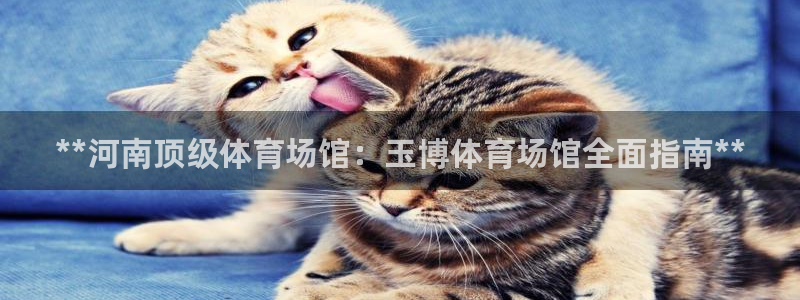 必一体育没了：**河
