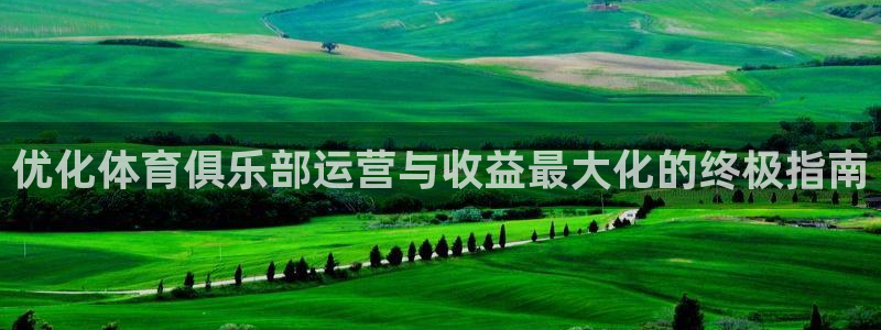 必一体育没了：优化体