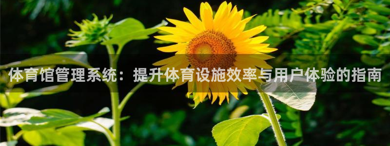必一运动体育官网：体