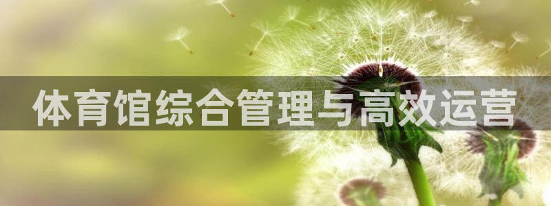 必一体育运动下载：体