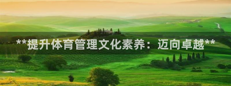 必一体育app官方网