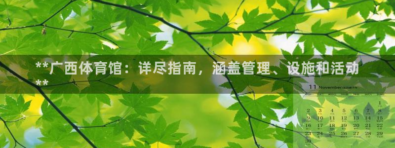 必一运动体：**广西