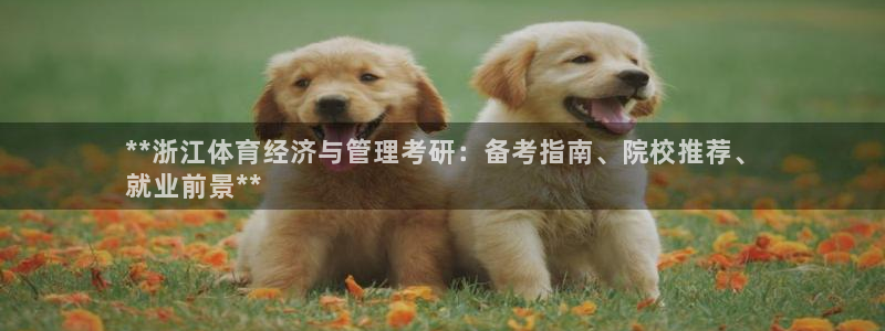 必一运动sport爱