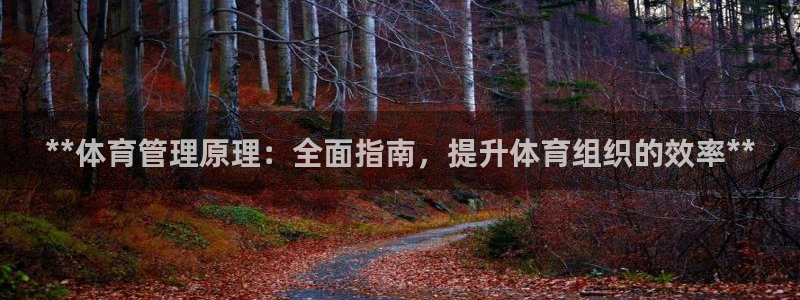 必一体育秀给网：**