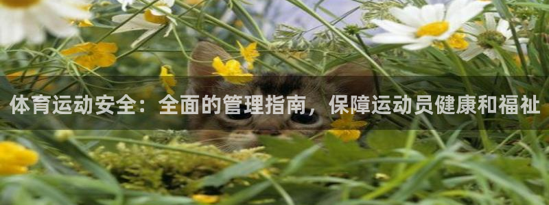 必一体育官方下载：体