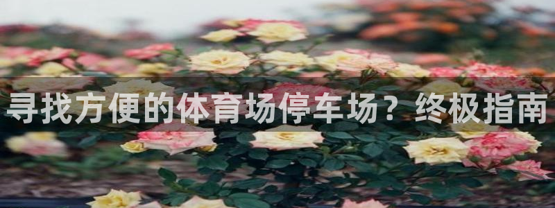 必一体育旧版：寻找方
