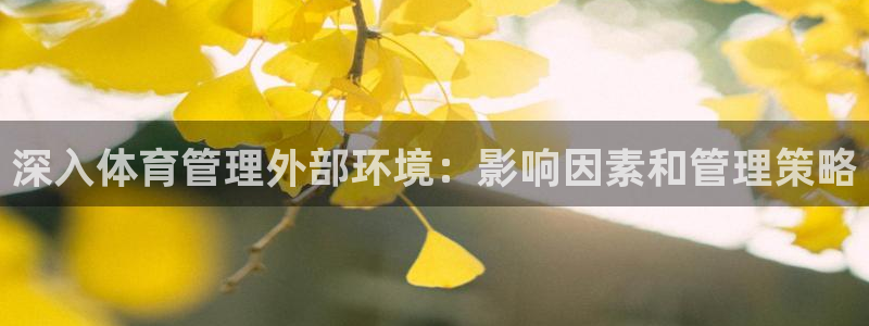必一体育官网app：