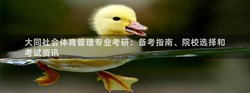必一运动体育官网：大