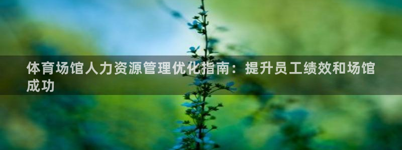 必一体育秀给网：体育