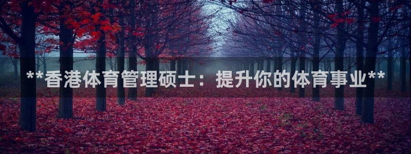 必一运动听的歌：**
