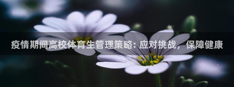 必一体育官网ios下