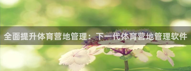 必一体育游戏玩法：全