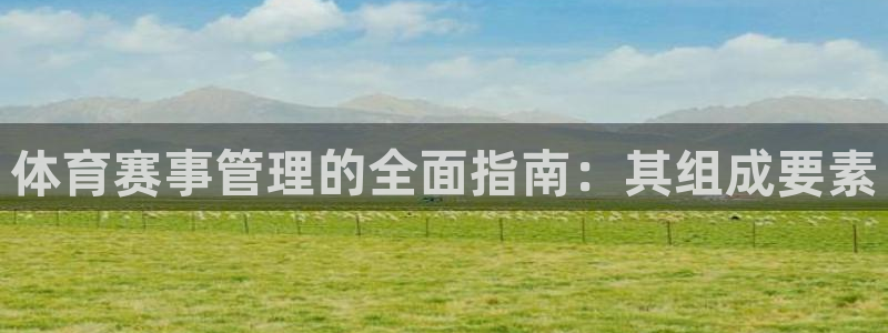 必一运动体：体育赛事