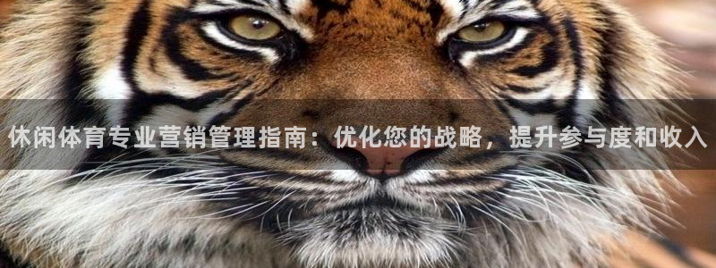 必一体育app下载装