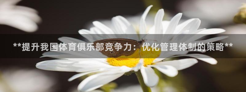 必一体育官方入口：*