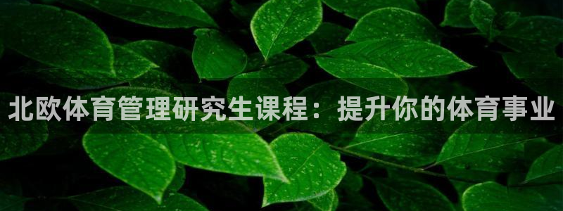 必一体育验证码：北欧