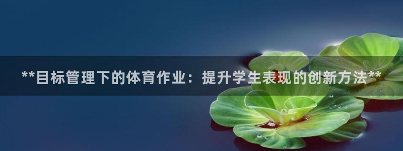 必一体育能提现大金额