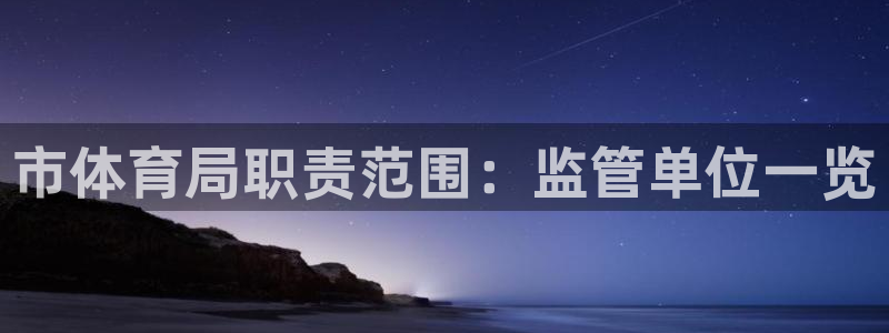 必一体育bsport