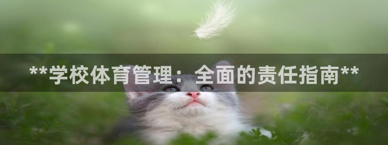 必一运动听的歌：**