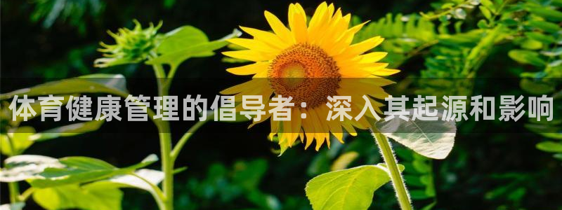 必一体育电子app：