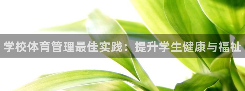 必一体育官方网站入口