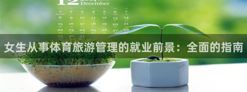 必一体育官方网站入口