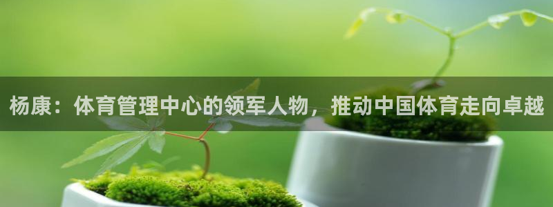 必一体育登录入口：杨