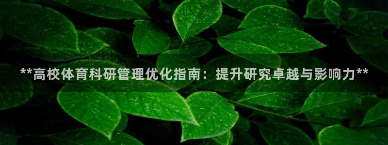 必一运动sport爱