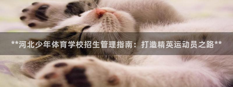 必一体育网站：**河