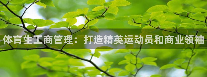 必一体育在线登录：体