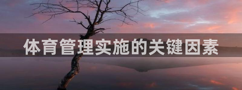 必一运动：体育管理实