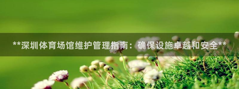必一体育sport官