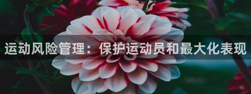 必一体育全站在线登录