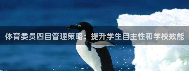必一体育在线玩：体育