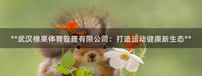 必一体育官方下载：*