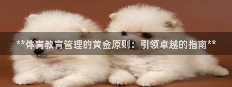 必一体育在线下载：*