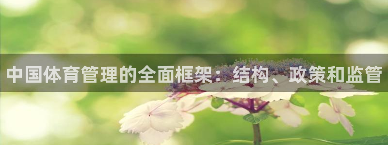 必一运动体育app：