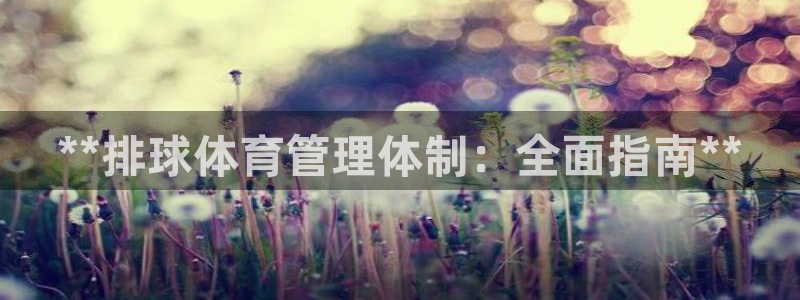 必一体育sportB