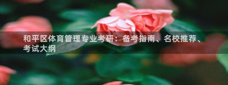 必一体育sport网