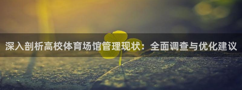 必一体育app下载装