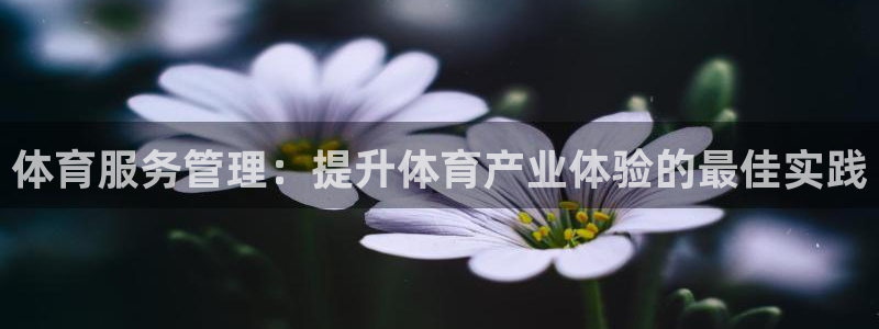 必一运动官网平台：体