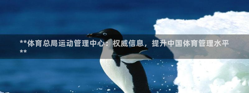 必一体育网页登录版官