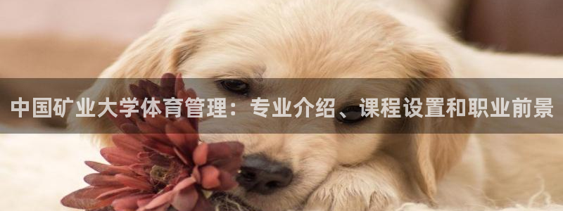 必一运动官网：中国矿