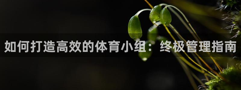 必一运动·(B-Sp