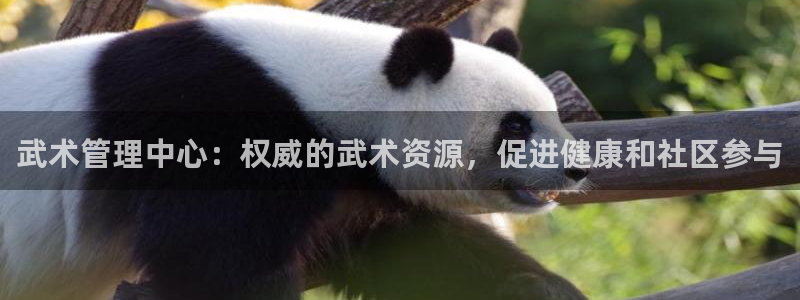 必一运动官网装机吧：