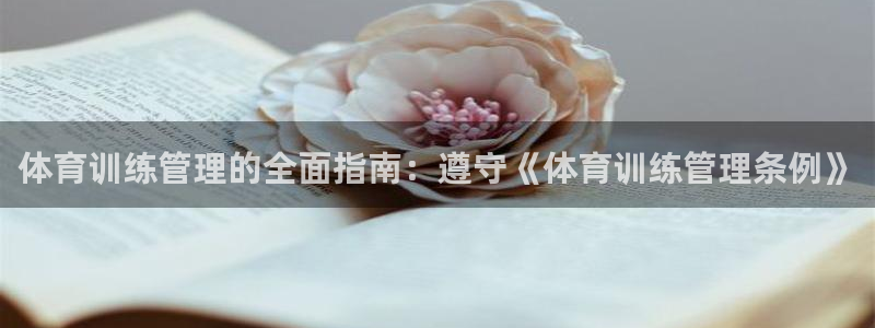 必一体育app官方下