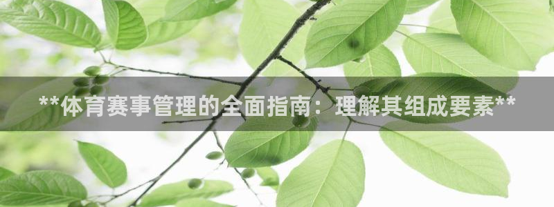 必一体育官网网址：*