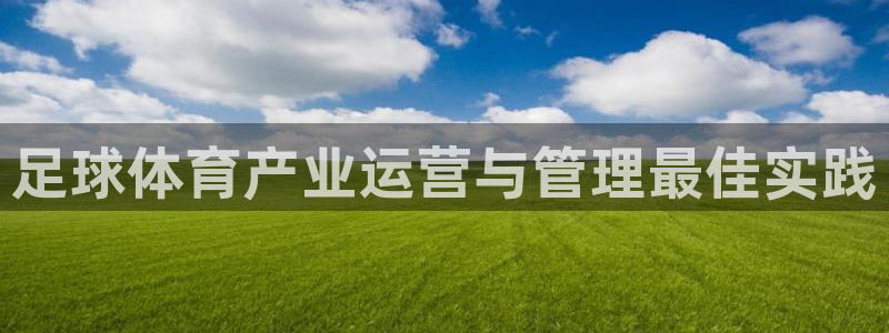 必一体育下载：足球体