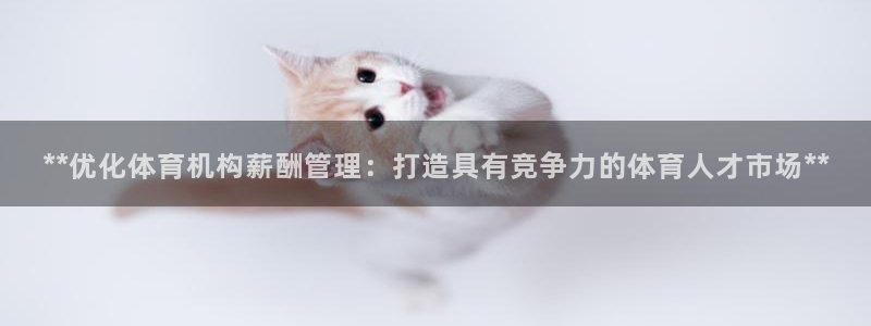 必一体育sport官
